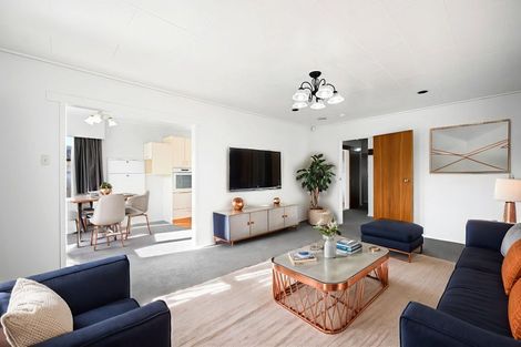 Photo of property in 66 Ascot Road, Chartwell, Hamilton, 3210