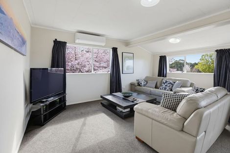 Photo of property in 9 Morunga Street, Omori, Turangi, 3381
