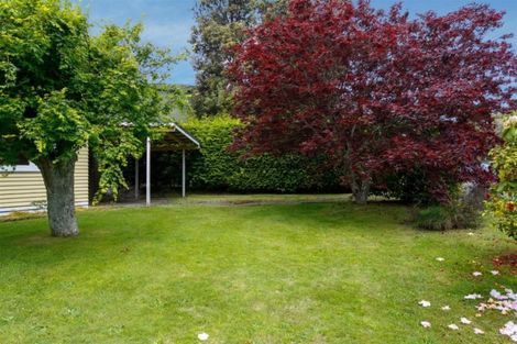 Photo of property in 58 Hinekura Avenue, Taupo, 3330