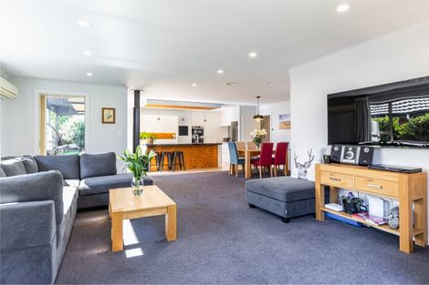 Photo of property in 59 Taylor Pass Road, Witherlea, Blenheim, 7201