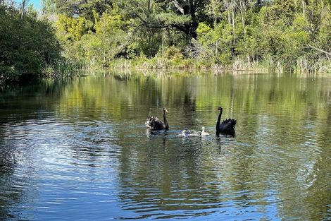 Photo of property in 47 Te Whanga Road, Levin, 5572