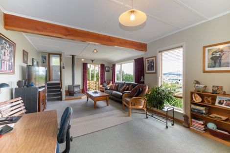 Photo of property in 113 Mulford Street, Concord, Dunedin, 9018