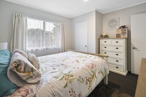 Photo of property in 26a Limbrick Street, Terrace End, Palmerston North, 4410