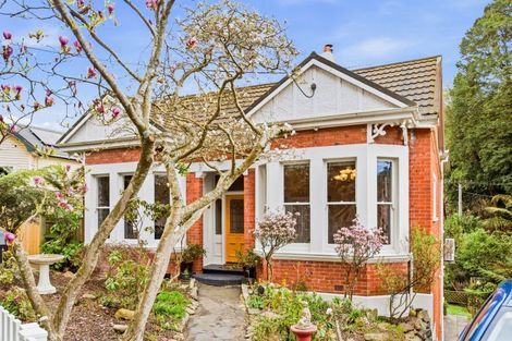 Photo of property in 41 Littlebourne Road, Roslyn, Dunedin, 9010