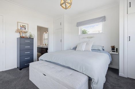 Photo of property in 59 Campbell Road, Mount Maunganui, 3116