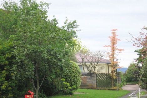 Photo of property in 17 Hanna Street, Te Aroha, 3320