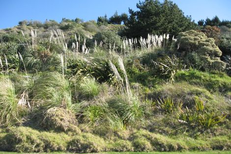 Photo of property in 912 Black Jack Road, Opito Bay, Whitianga, 3592
