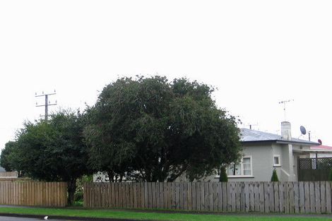 Photo of property in 44 Mckenzie Street, Levin, 5510