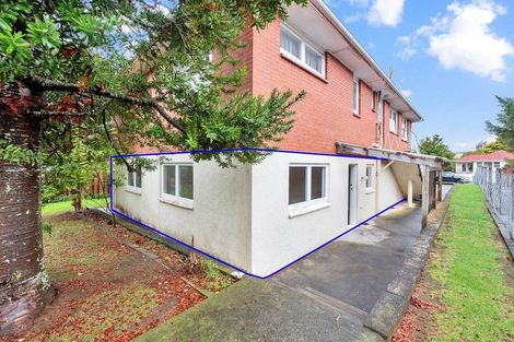 Photo of property in 25 Poinsettia Place, Henderson, Auckland, 0610