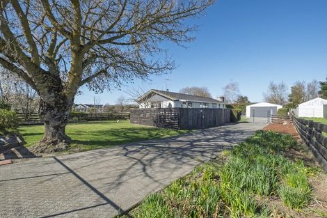 Photo of property in 47 George Street, Rotherham, 7379