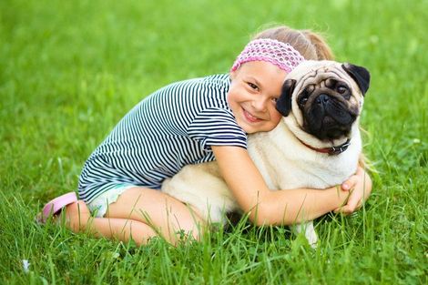 Photo of property in 206 Waitakere Road, Waitakere, Henderson, 0782