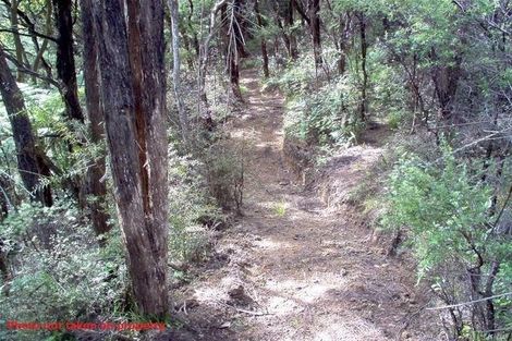 Photo of property in 86 Summer Road, Tinopai, Matakohe, 0593