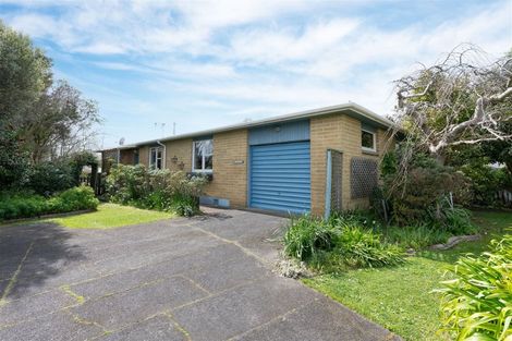 Photo of property in 45 Kennedy Drive, Levin, 5510