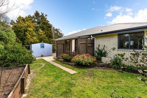 Photo of property in 19 Goodall Street, Dinsdale, Hamilton, 3204