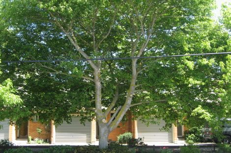 Photo of property in 4/59 Vogel Street, Richmond, Christchurch, 8013