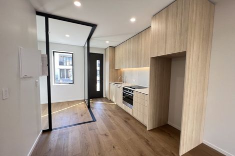 Photo of property in 4 Hadlow Terrace, Grey Lynn, Auckland, 1021