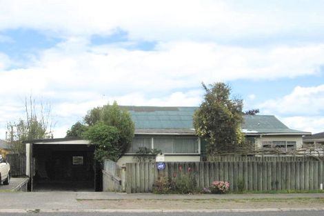 Photo of property in 171 Tamamutu Street, Taupo, 3330