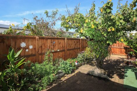 Photo of property in 116 Mackay Street, Thames, 3500