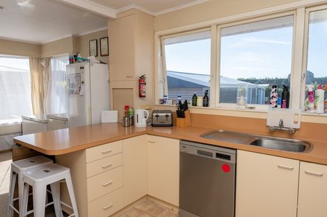 Photo of property in 19 Grove Street, Tinwald, Ashburton, 7700