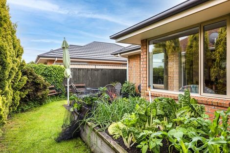 Photo of property in 20b Richill Street, Belfast, Christchurch, 8051