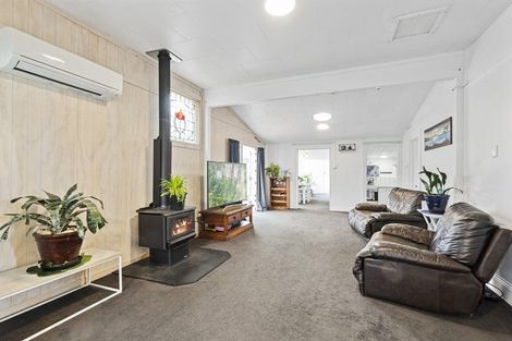 Photo of property in 12 Hawkswood Street, Waiau, 7332