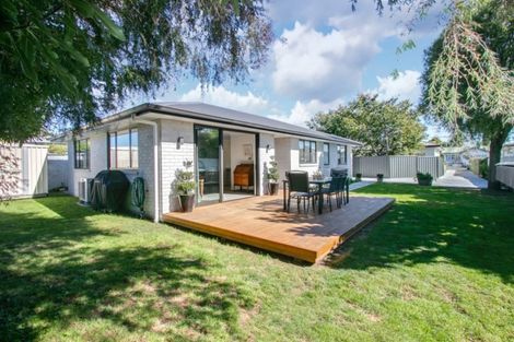 Photo of property in 1029a Waipuna Street, Mahora, Hastings, 4120