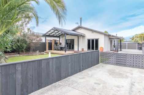 Photo of property in 12 Napier Road, Terrace End, Palmerston North, 4410