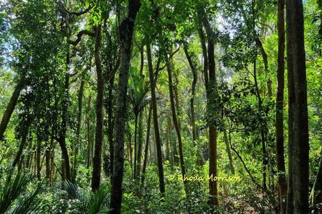 Photo of property in 47 Andrae Lane, Maungaturoto, 0587