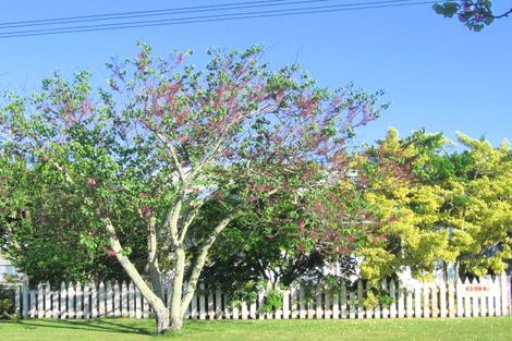 Photo of property in 6 Valley Road, Mangapapa, Gisborne, 4010