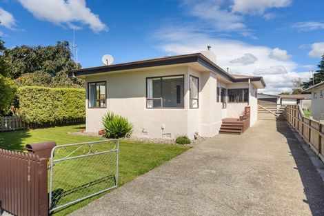 Photo of property in 478 Ruahine Street, Terrace End, Palmerston North, 4410