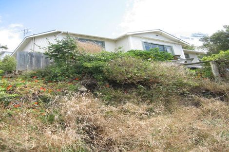 Photo of property in 123 Te Anau Road, Hataitai, Wellington, 6021