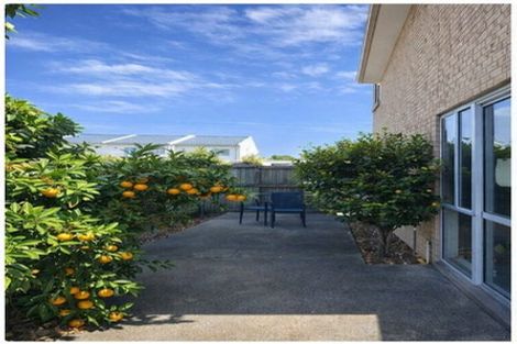 Photo of property in 380 Selwyn Street, Addington, Christchurch, 8024