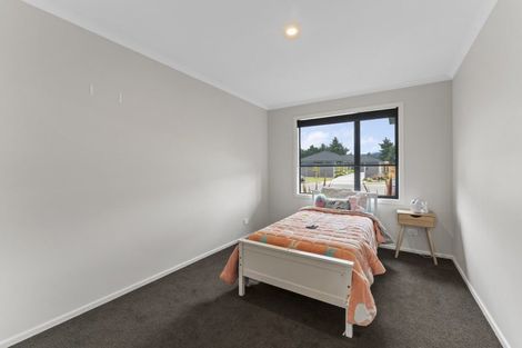 Photo of property in 123 Turnbull Drive, Witherlea, Blenheim, 7201