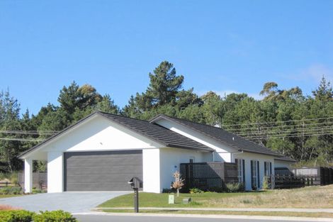 Photo of property in 203 Parekaawa Drive, Motuoapa, Turangi, 3382