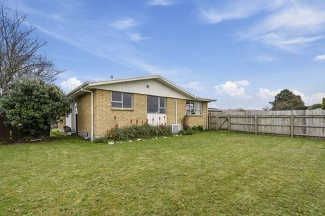 Photo of property in 42 Hinemoa Street, Levin, 5510