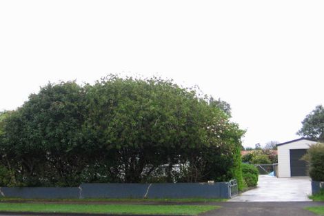 Photo of property in 42 Mckenzie Street, Levin, 5510