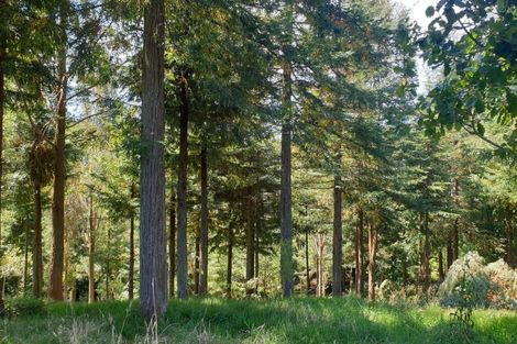 Photo of property in 521b Kauaeranga Valley Road, Thames, 3577