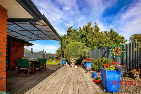 Photo of property in 3 Hight Place, Tinwald, Ashburton, 7700