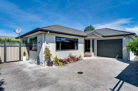 Photo of property in 36a Guppy Road, Greenmeadows, Napier, 4112