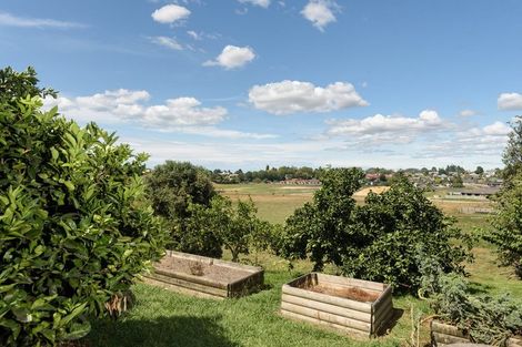 Photo of property in 40 Oxford Street, Te Puke, 3119