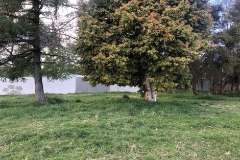 Photo of property in 39 Te Iwiheke Place, Turangi, 3334