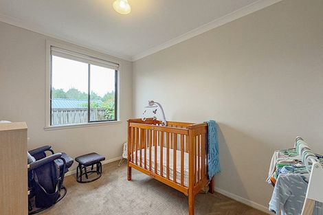 Photo of property in 16 Goodwin Street, Tirau, 3410