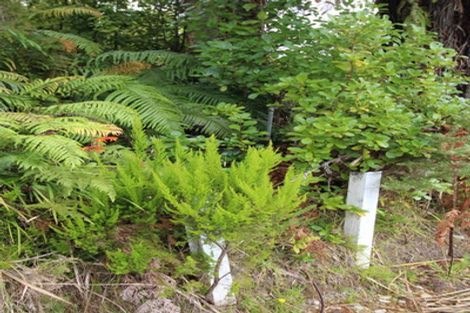 Photo of property in 7 Gay Street, Ross, 7812