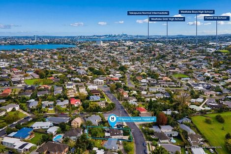 Photo of property in 70 Selwyn Crescent, Forrest Hill, Auckland, 0620