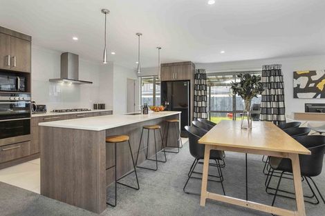 Photo of property in 21 Paso Fino Crescent, Karaka, Papakura, 2113