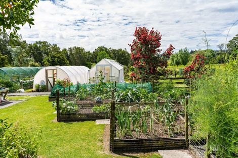 Photo of property in 63 Woodward Road, Maungatapere, Whangarei, 0179