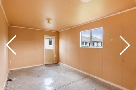Photo of property in 55 Power Street, Levin, 5510