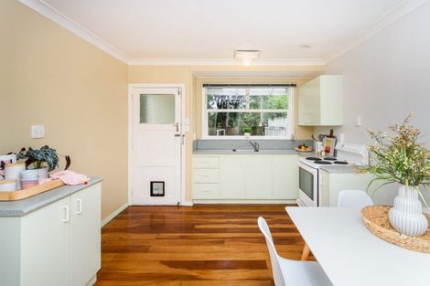 Photo of property in 116 Manawatu Street, Hokowhitu, Palmerston North, 4410