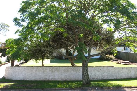 Photo of property in 117 Arapuni Street, Putaruru, 3411