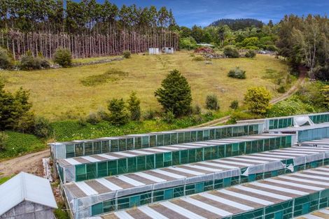 Photo of property in 424a Pipiwai Road, Ngararatunua, Whangarei, 0176